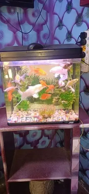 Fish Tank