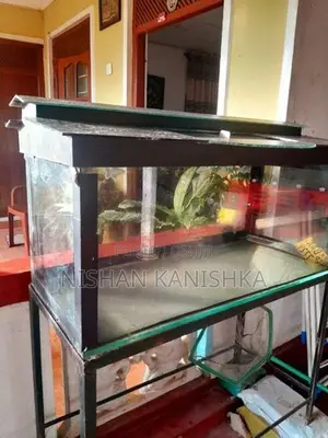 Fish Tank