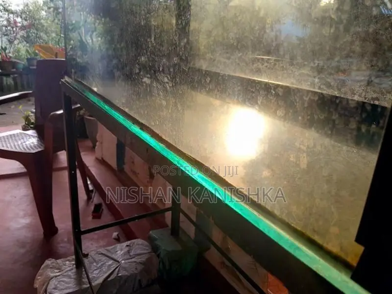 Fish Tank
