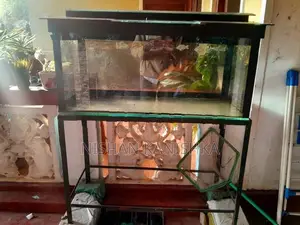 Fish Tank
