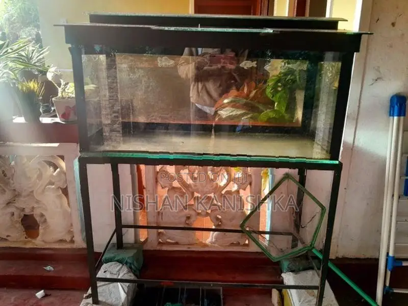 Fish Tank