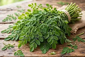 Moringa Leaves Murunga Kola - Fresh Organic