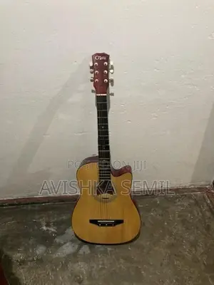 Guitar