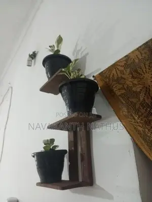 Indoor Flower Pot