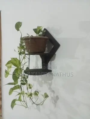 Indoor Flower Pot