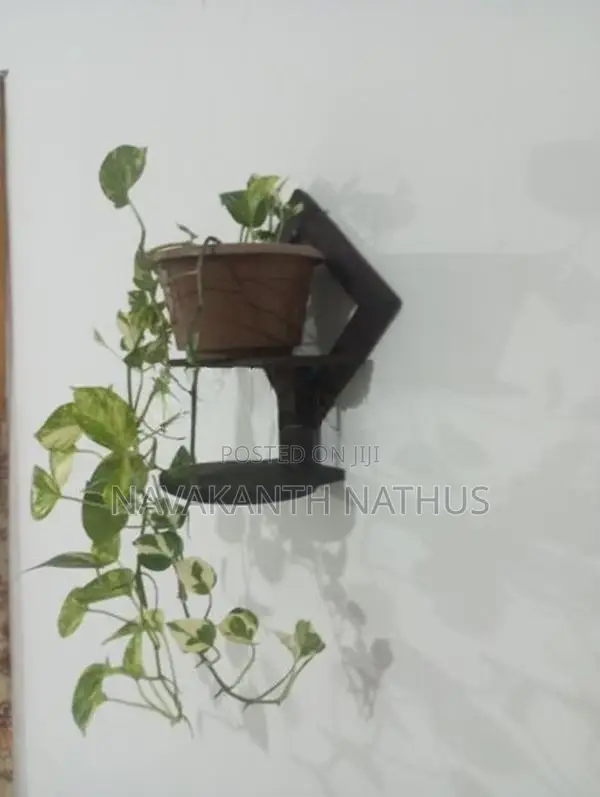 Indoor Flower Pot