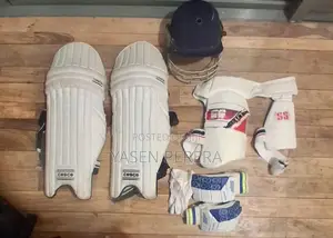 Cricket set