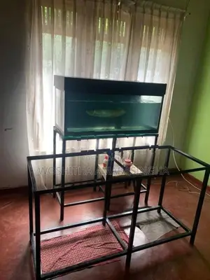 Fish Tank