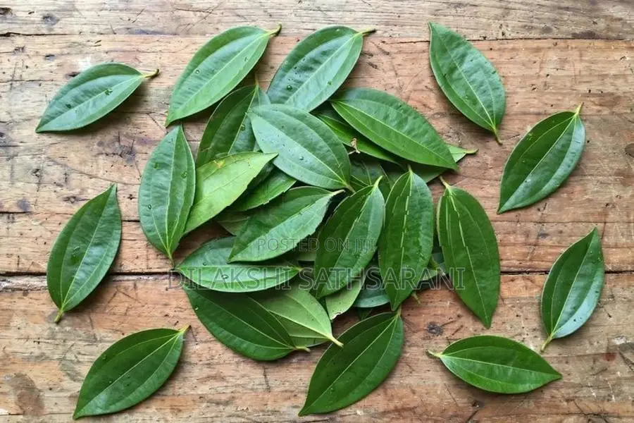 Fresh Kurundu Kola 1kg - Cinnamon Leaves