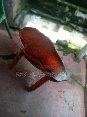 Sanstha Thekka Dawa