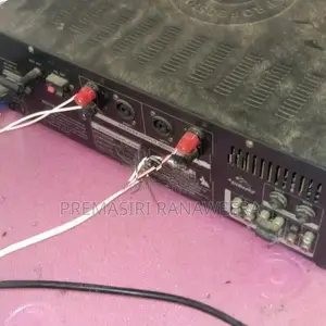 Olik Two Buffels with Amplifier