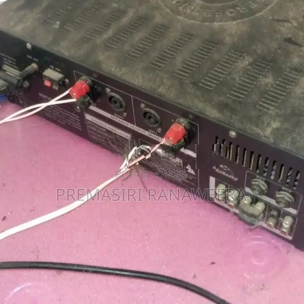 Olik Two Buffels with Amplifier