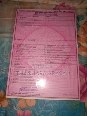 Kubota RV 135 Paragon 2022
