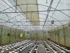 වර් ග අඩි 3000 පොලිටනල් එක