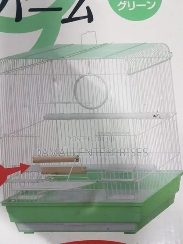 Bird Cage