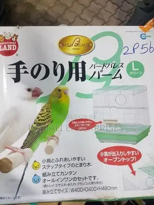 Bird Cage