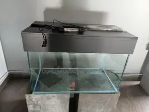 Fish Tank With Filter Pump UV Light