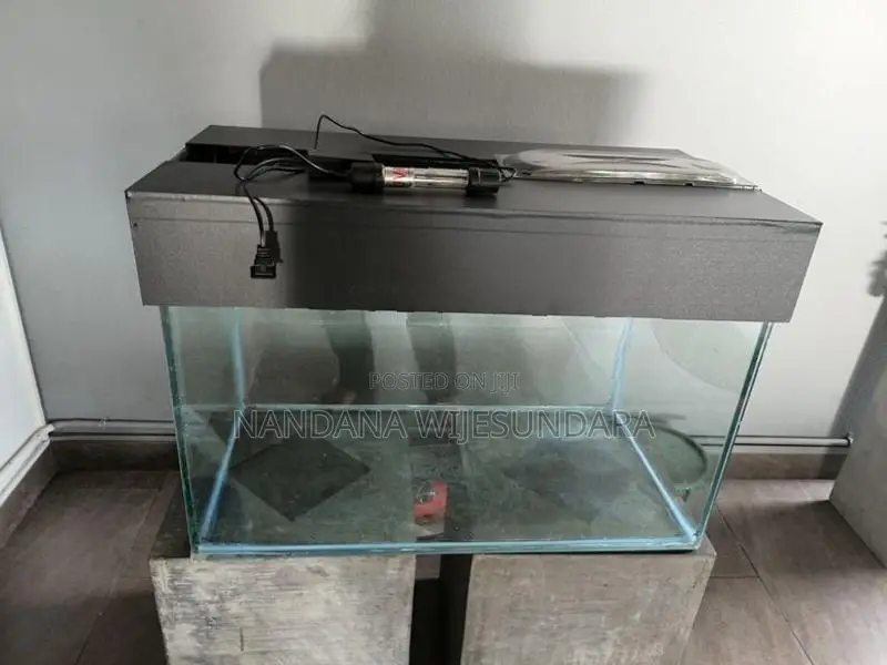 Fish Tank With Filter Pump UV Light