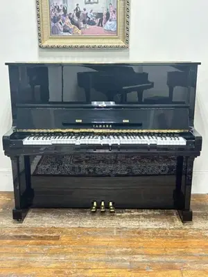 Piano - Nevil Mendis