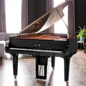 Piano - Nevil Mendis