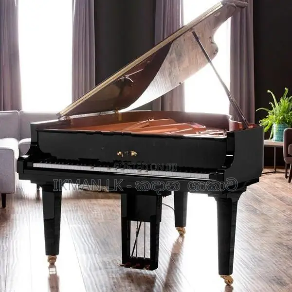 Piano - Nevil Mendis