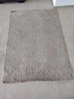 Rectangle Shape Imported Carpet Ash Colour