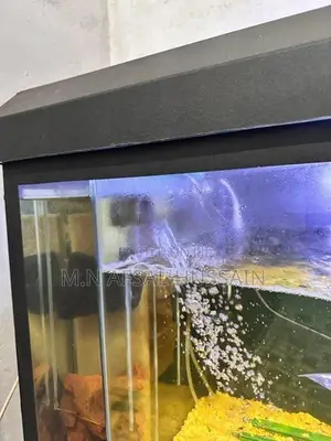 Fish Tank