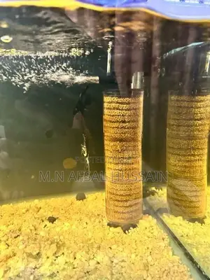 Fish Tank