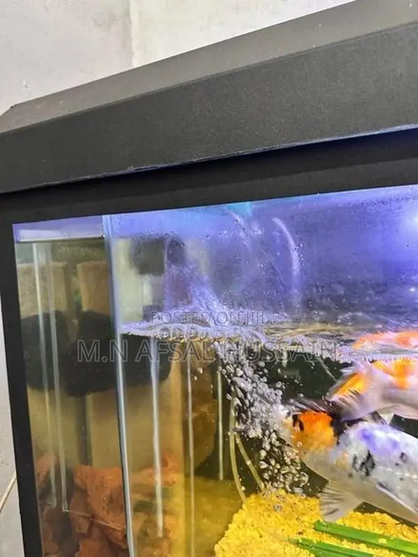 Fish Tank