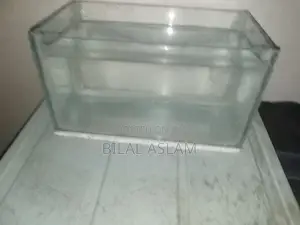 Fish Tank