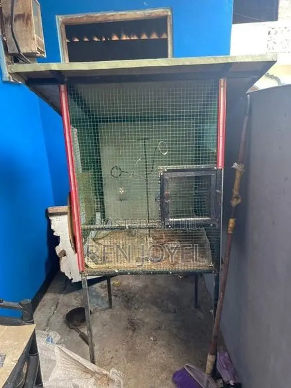 Birds Cage