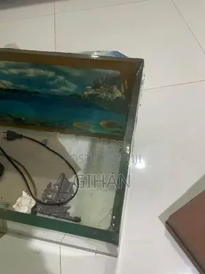 2 Feet Fish Tank