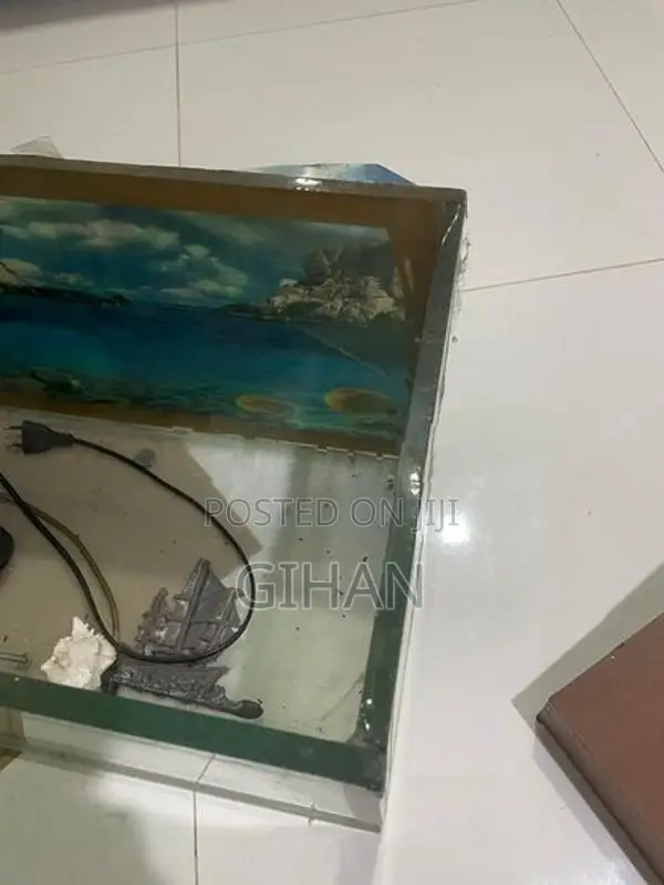 2 Feet Fish Tank