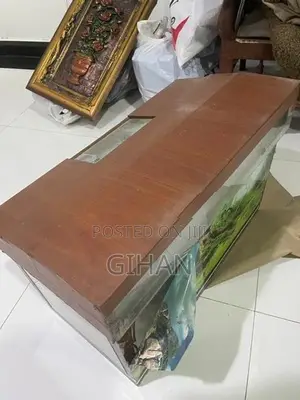 2 Feet Fish Tank