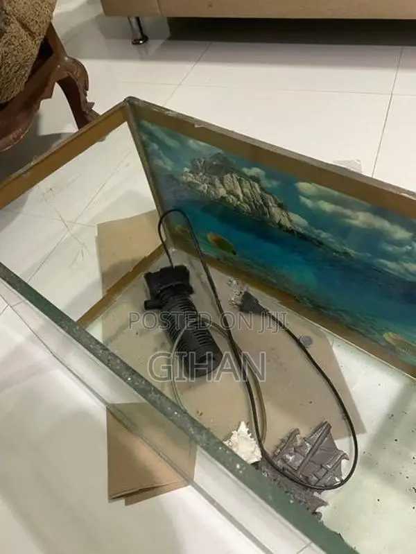 2 Feet Fish Tank