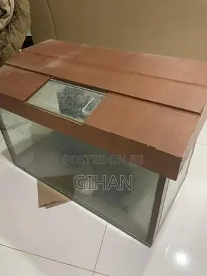 2 Feet Fish Tank