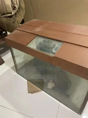 2 Feet Fish Tank
