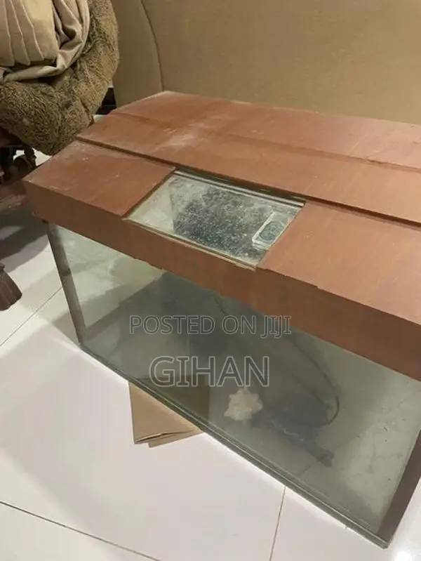 2 Feet Fish Tank