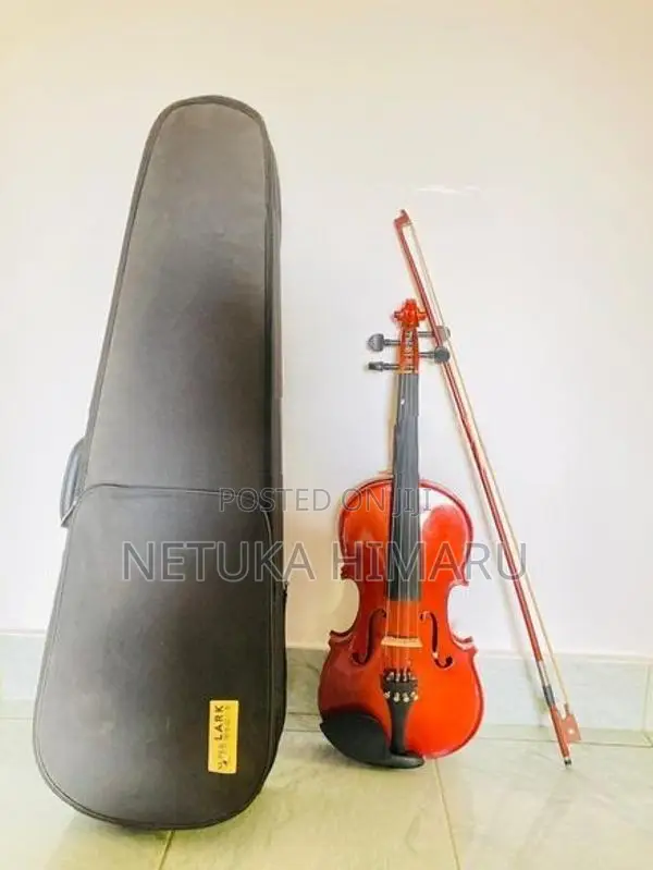 Violin