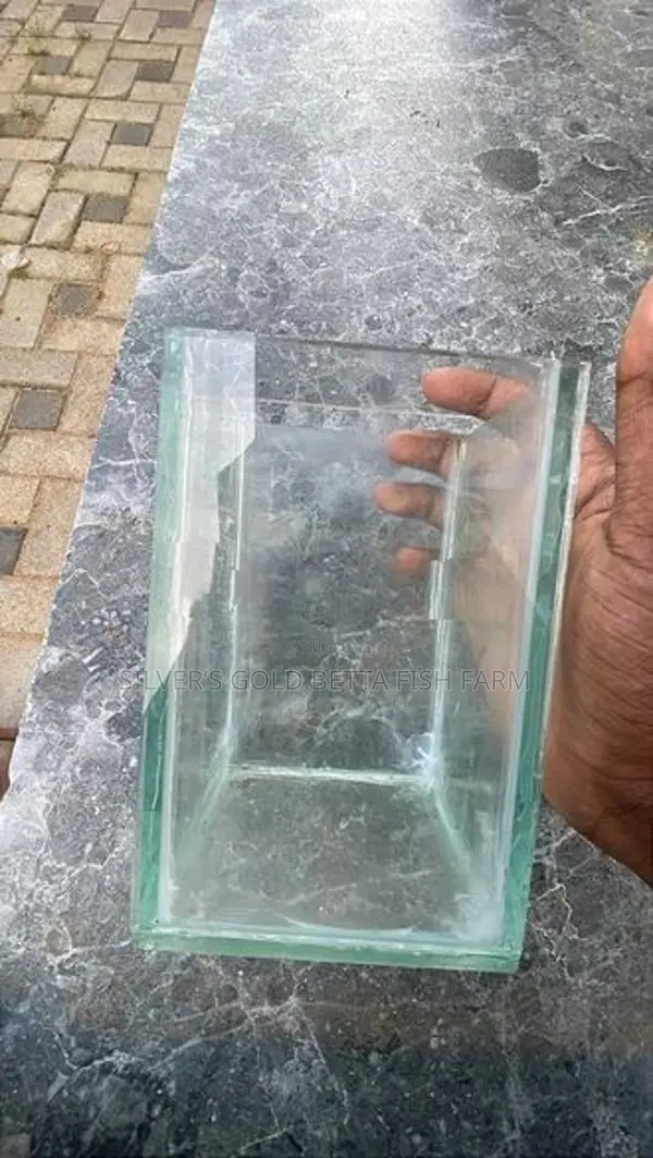 Betta Fish Tank