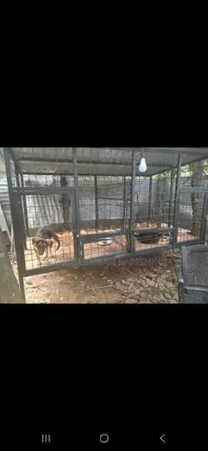 Dog Cage