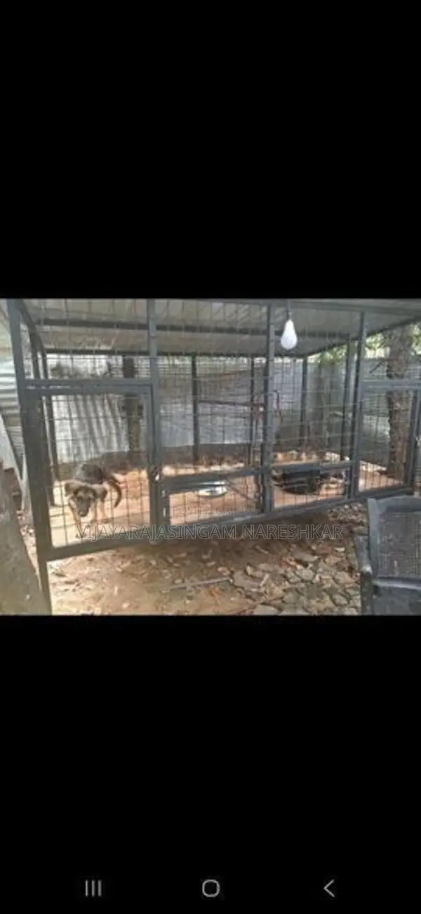 Dog Cage