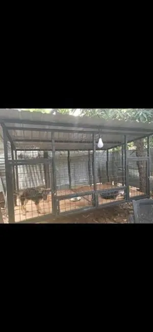Dog Cage