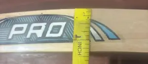 CA Bat