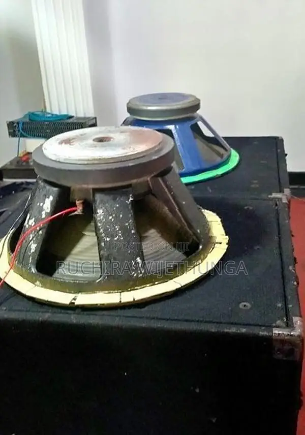 18" W Bin Speakers