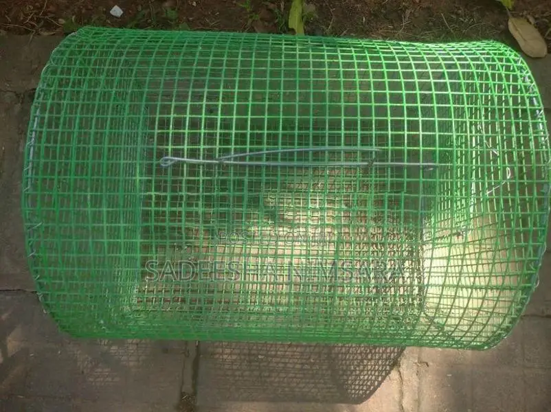 Love bird's Cage