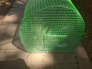Love bird's Cage