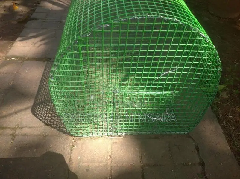 Love bird's Cage