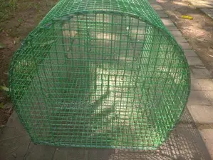 Love bird's Cage