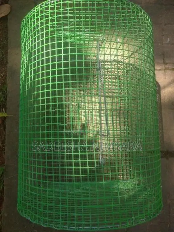 Love bird's Cage